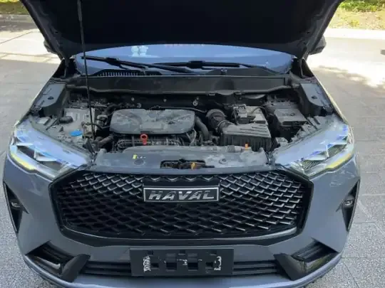 Haval H6 2021 (24300 км)