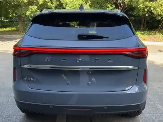 Haval H6 2021 (24300 км)