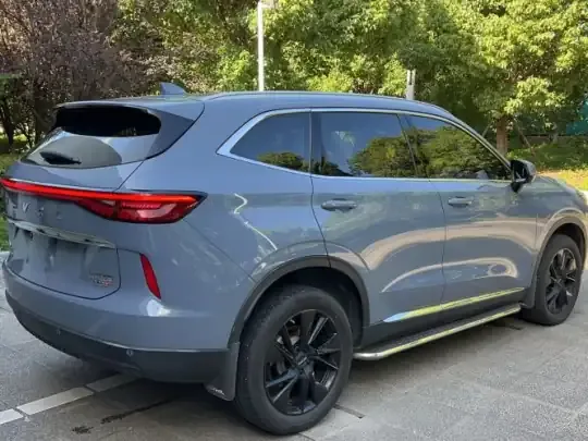 Haval H6 2021 (24300 км)