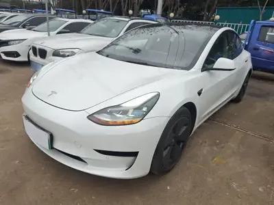 Tesla Model 3 2021 (69000 км)