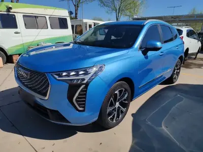 Haval JOLION 2021 (66400 км)