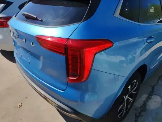 Haval JOLION 2021 (66400 км)