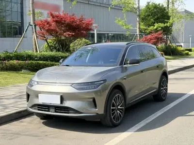 Leapmotor C11 2021 (64000 км)