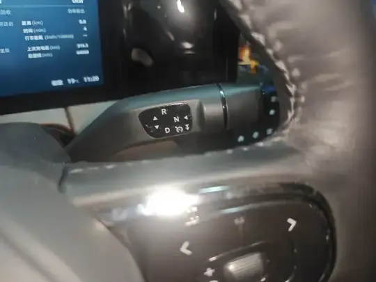 Leapmotor C11 2021 (64000 км)
