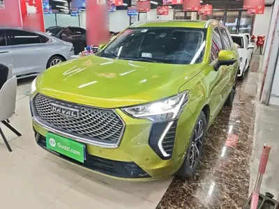 Haval JOLION 2021 (41900 км)