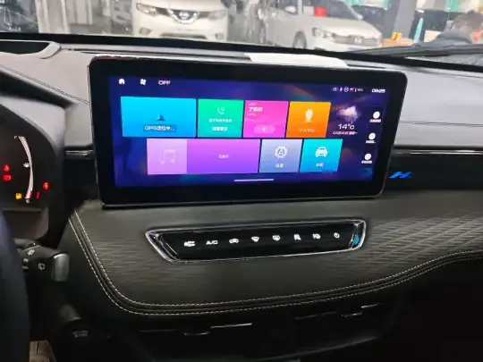 Haval JOLION 2021 (41900 км)