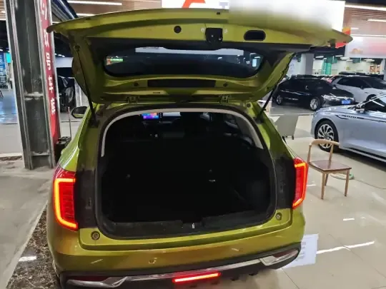 Haval JOLION 2021 (41900 км)