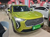 Haval JOLION 2021 (41900 км)