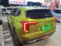 Haval JOLION 2021 (41900 км)