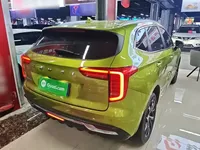 Haval JOLION 2021 (41900 км)