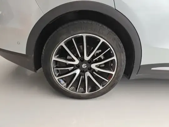 Leapmotor C11 2021 (63600 км)