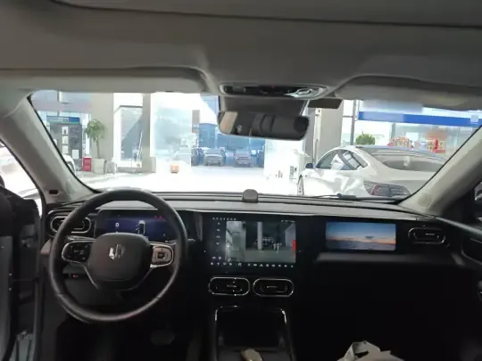 Leapmotor C11 2021 (63600 км)