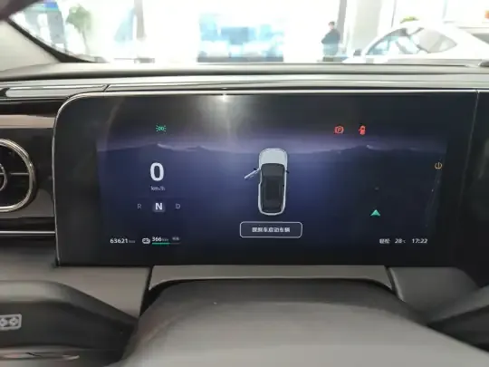 Leapmotor C11 2021 (63600 км)