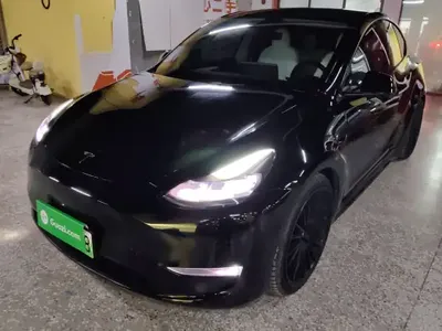 Tesla Model Y 2021 (111900 км)