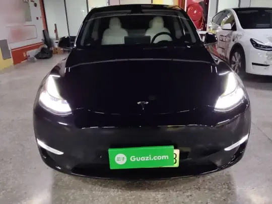 Tesla Model Y 2021 (111900 км)