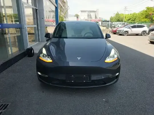 Tesla Model Y 2021 (144200 км)