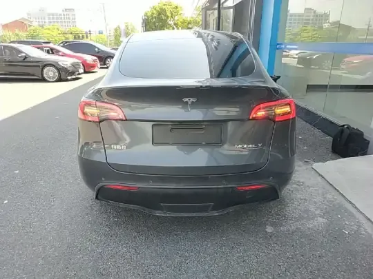 Tesla Model Y 2021 (144200 км)