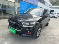 Haval H6 2021 (53300 км)