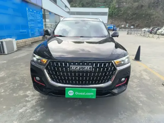 Haval H6 2021 (53300 км)