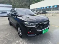 Haval H6 2021 (53300 км)