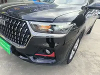 Haval H6 2021 (53300 км)