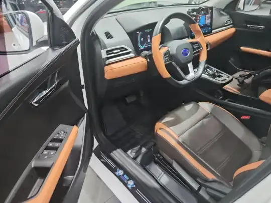 BYD e2 2021 (68600 км)
