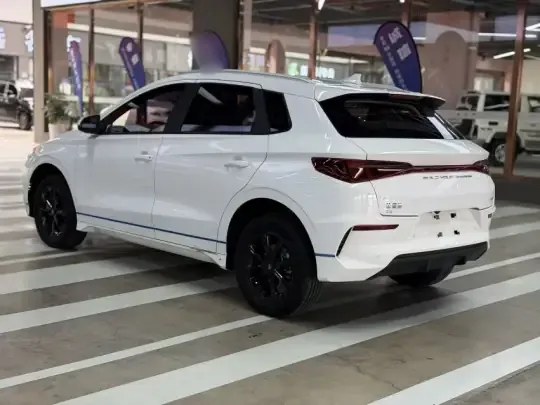 BYD e2 2021 (68600 км)