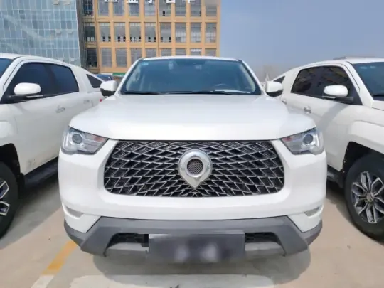 Great Wall Poer 2021 (97700 км)