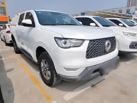 Great Wall Poer 2021 (97700 км)