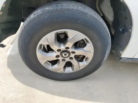 Great Wall Poer 2021 (97700 км)