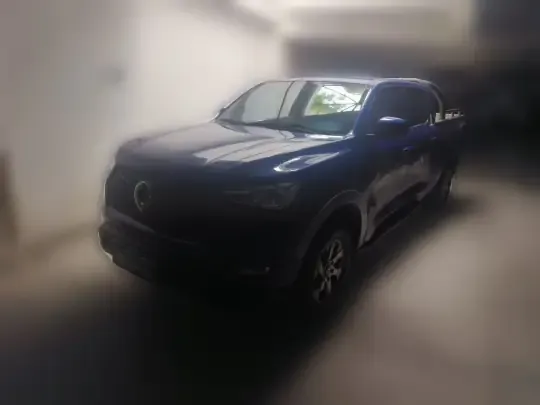 Great Wall Poer 2021 (73300 км)