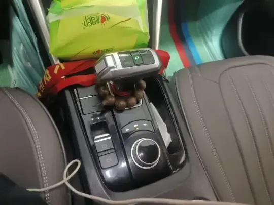 Great Wall Poer 2021 (73300 км)