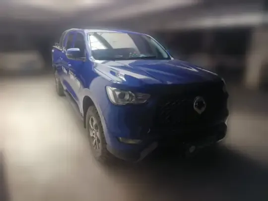 Great Wall Poer 2021 (73300 км)