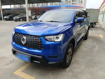 Great Wall Poer 2021 (44900 км)
