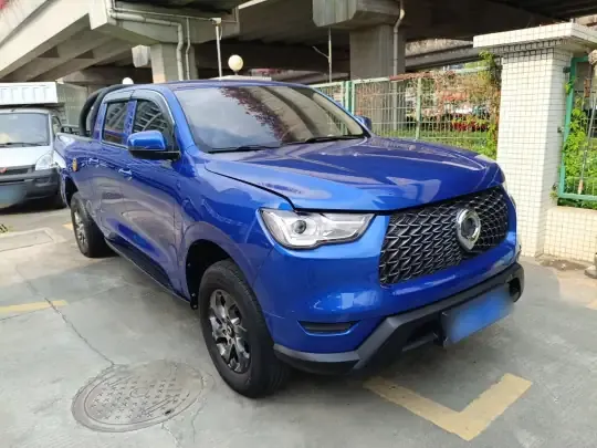 Great Wall Poer 2021 (44900 км)