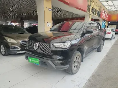 Great Wall Poer 2021 (42100 км)