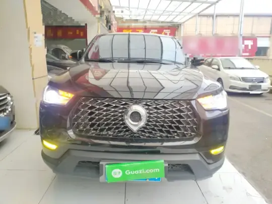 Great Wall Poer 2021 (42100 км)
