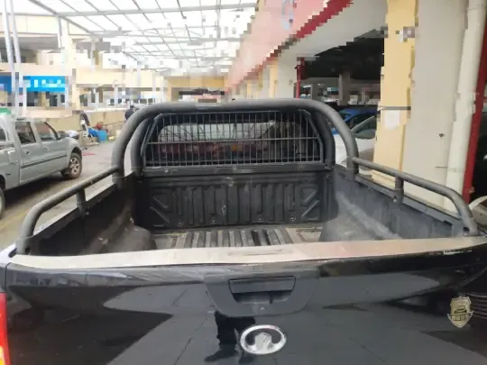 Great Wall Poer 2021 (42100 км)