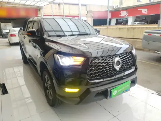 Great Wall Poer 2021 (42100 км)