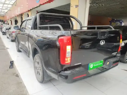 Great Wall Poer 2021 (42100 км)