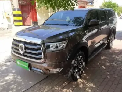 Great Wall Poer 2021 (55900 км)