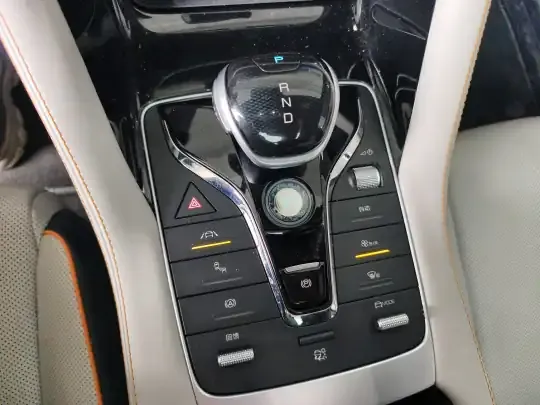 BYD Song PLUS New Energy 2021 (51200 км)