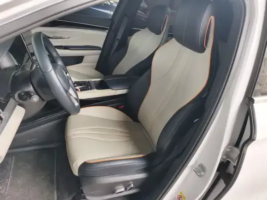 BYD Song PLUS New Energy 2021 (51200 км)