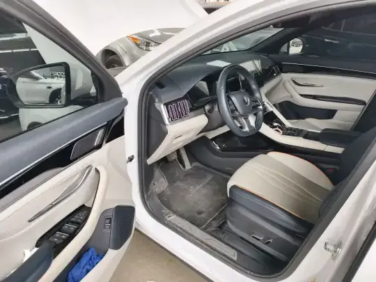 BYD Song PLUS New Energy 2021 (51200 км)