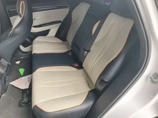 BYD Song PLUS New Energy 2021 (51200 км)