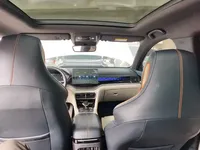 BYD Song PLUS New Energy 2021 (51200 км)