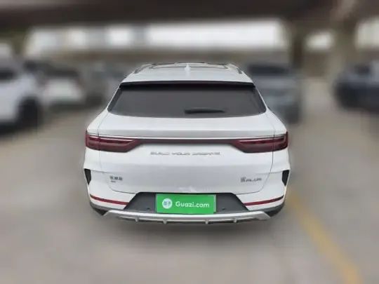 BYD Song PLUS New Energy 2021 (51200 км)