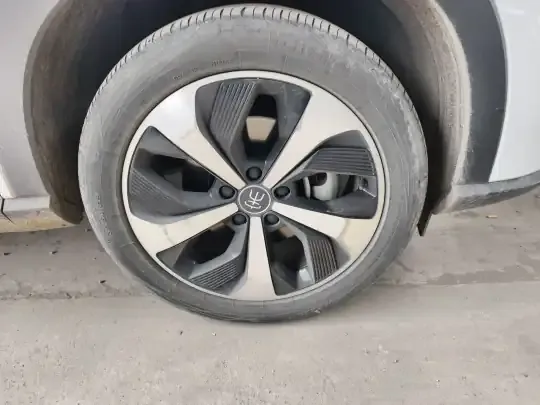 BYD Song PLUS New Energy 2021 (51200 км)
