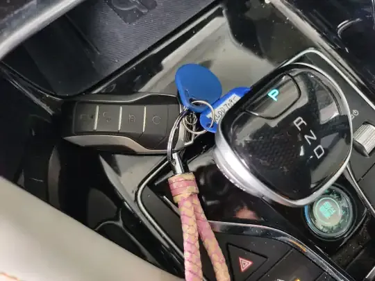 BYD Song PLUS New Energy 2021 (51200 км)