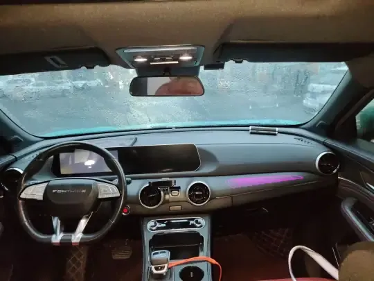 FORTHING T5 EVO 2021 (36400 км)